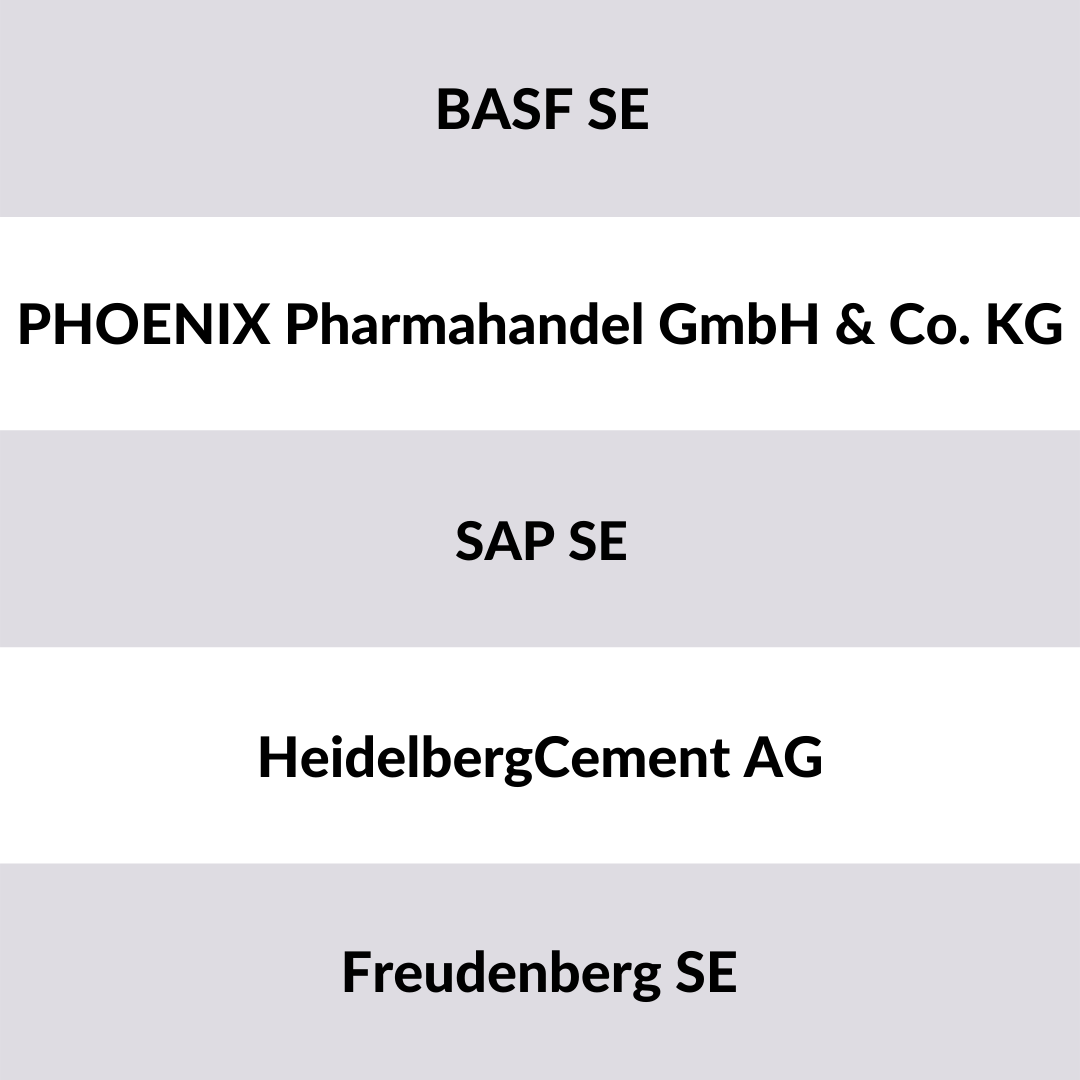 Liste der 5 größten Unternehmen Rhein Neckar