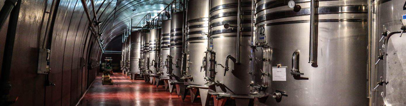 Datenbank größte deutsche Brauereien