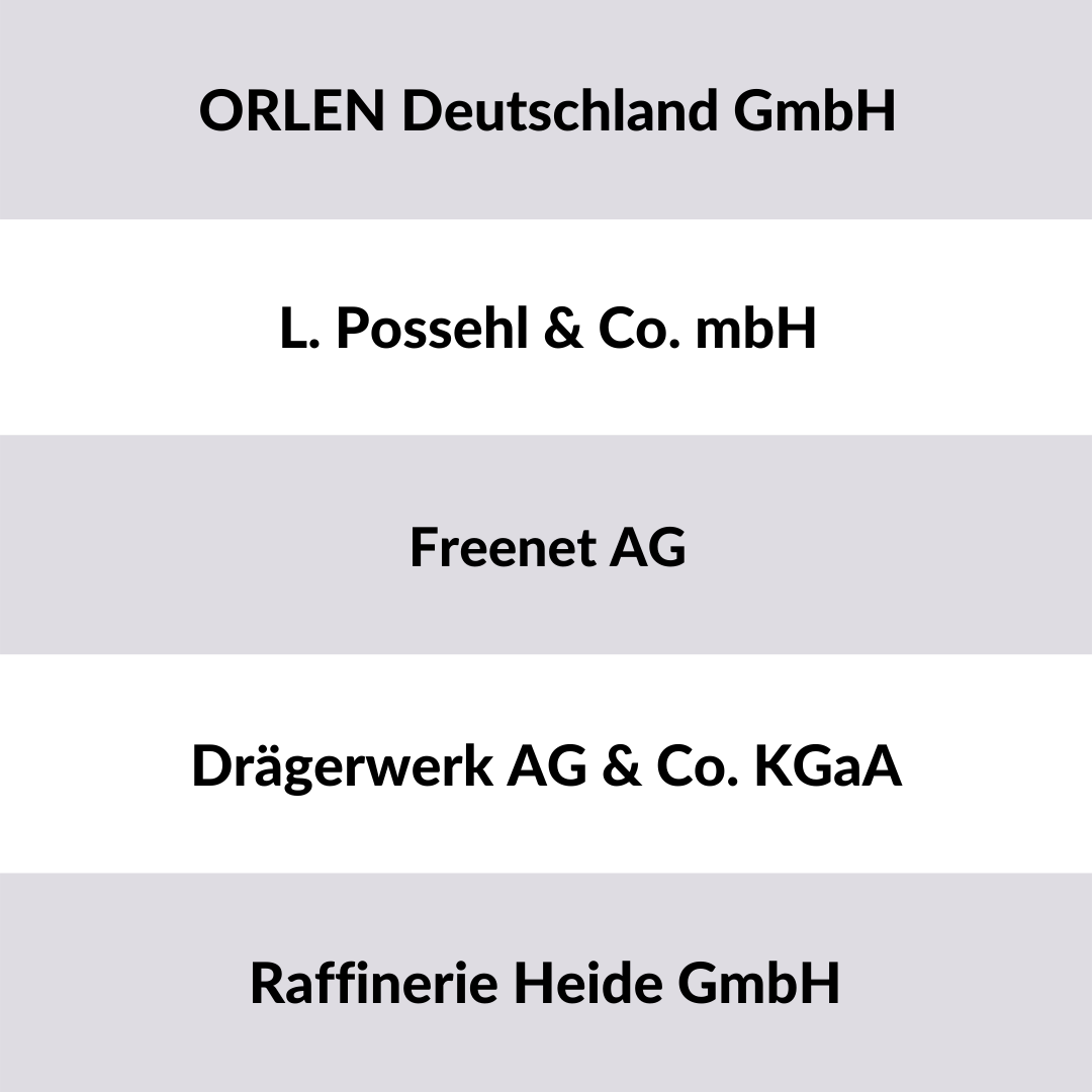 Liste der 5 größten Unternehmen Schleswig-Holstein