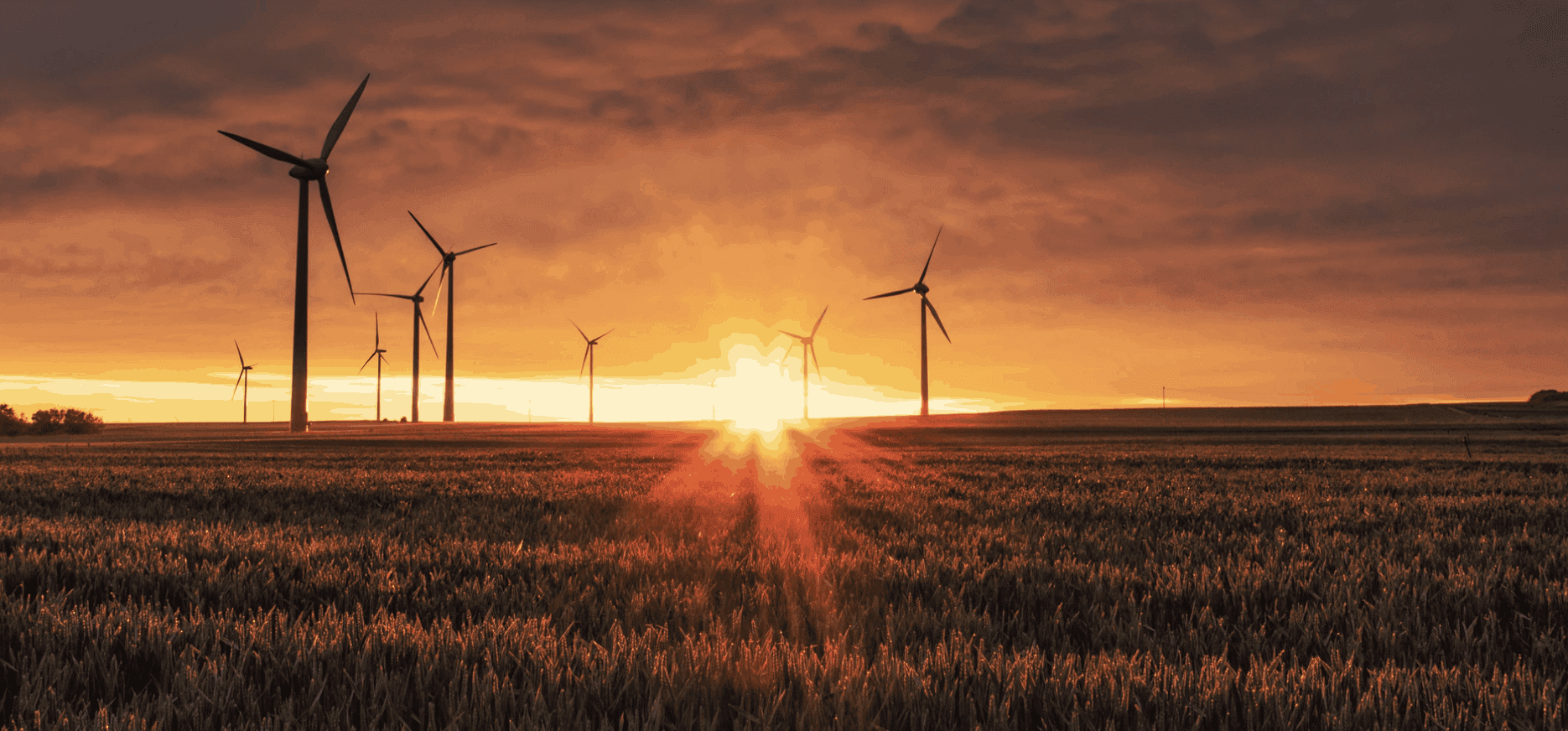 datenbank solarpark windpark investoren europa