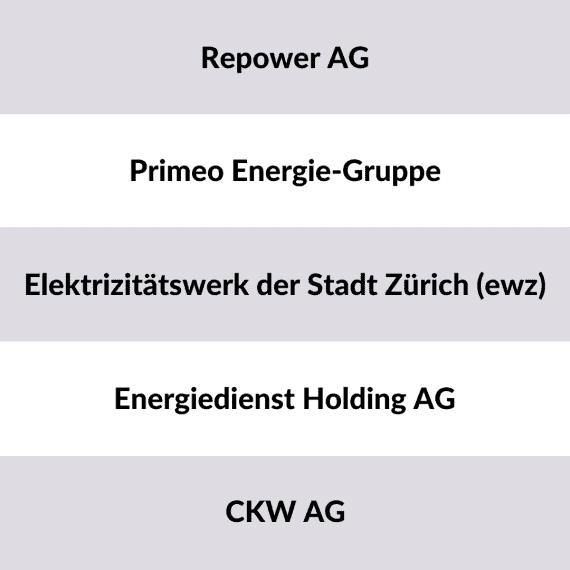 Schweizer Stromanbieter