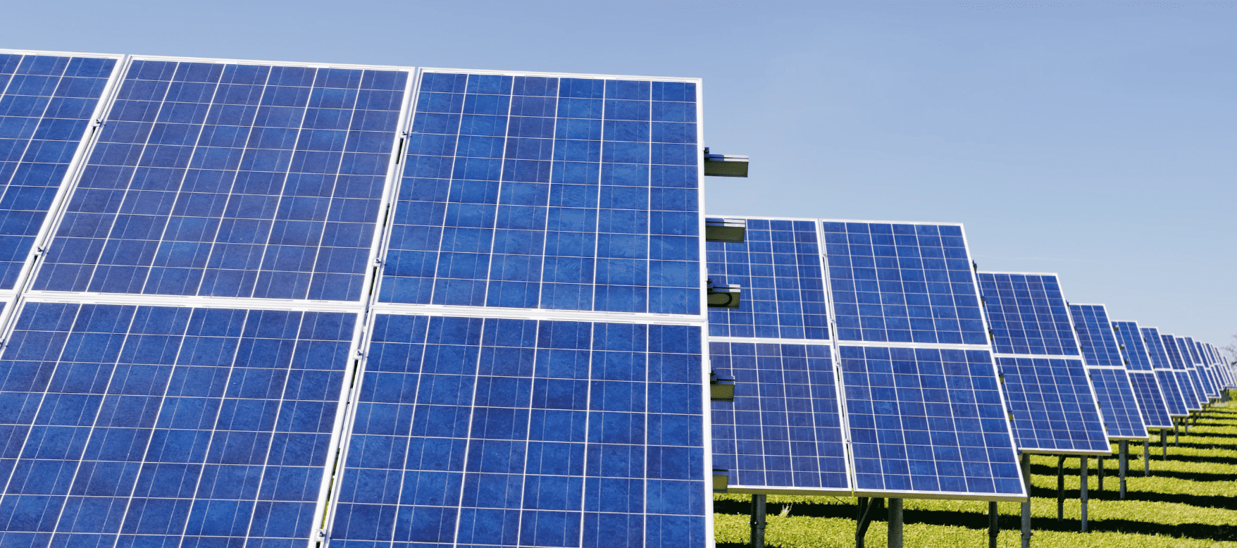 größte Solarparkprojektentwickler in Baden-Württemberg
