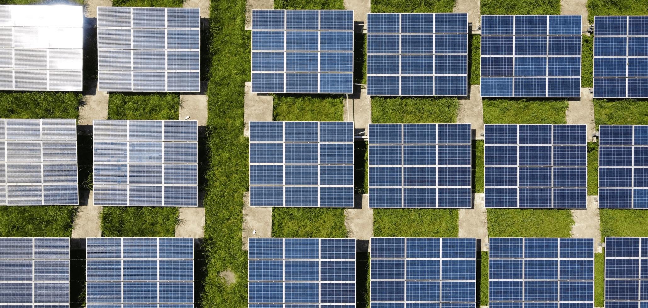 größte solarprojektentwickler in ostdeutschland
